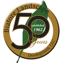 Celebrating 50 years of service